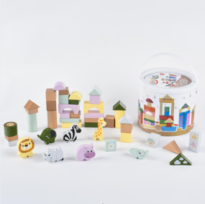 STEAM TOY (67)